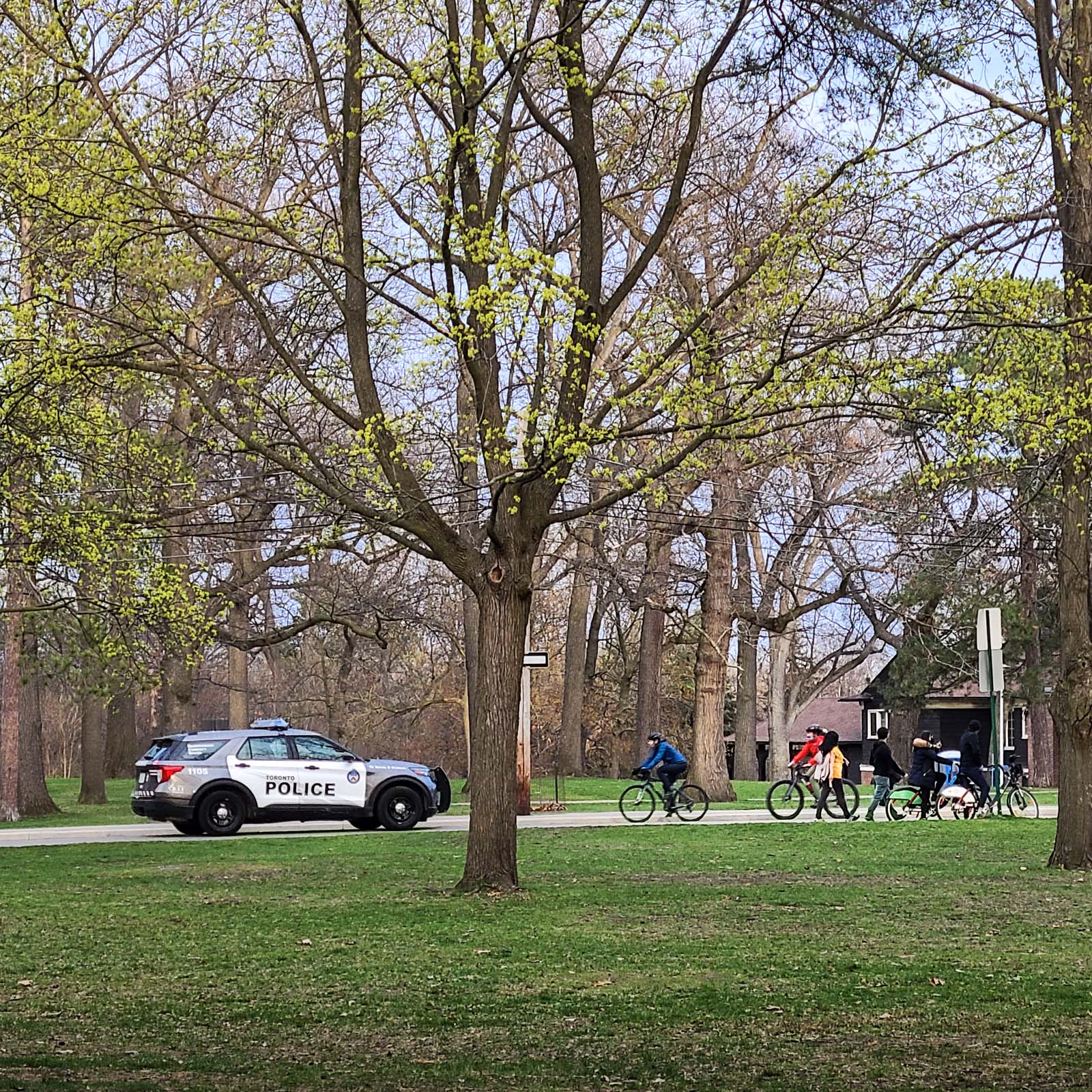 Cherry blossoms 2021 Covid-19 - Police guarding gate at High Park