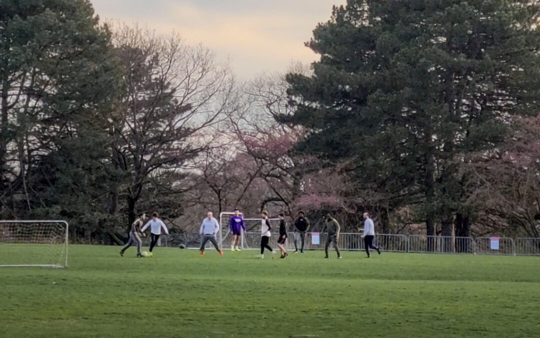Police Ignore High Park Pickup Soccer Game While Barring Access to Cherry Blossoms during Covid Lockdown